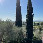 I Tre Cipressi Di Agnano (Pisa)